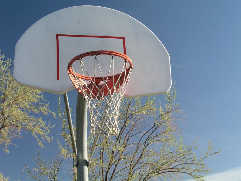 Driveway Hoop Installation
