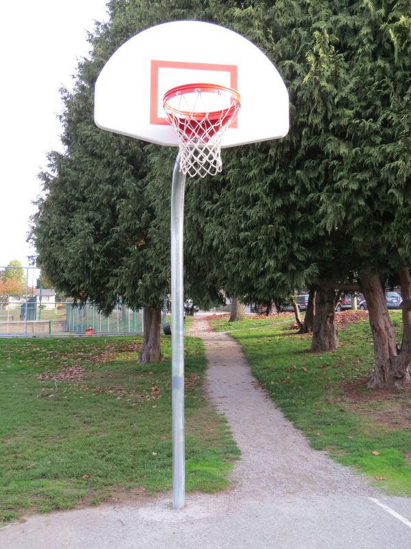 Backboard Installation in Longmont, CO