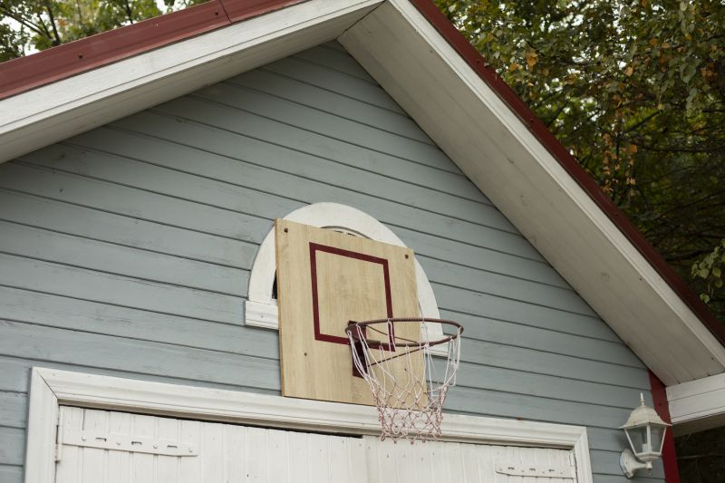 Basketball Hoop in Driveway